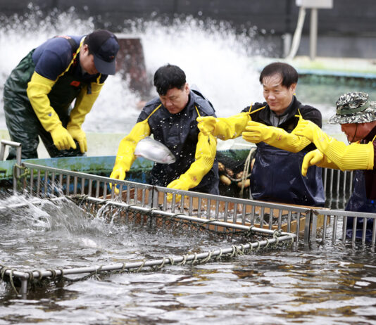 바다에서 펼치는 인생 이모작 ‘슬기로운 귀어생활’ 위한 올해 마지막 기회